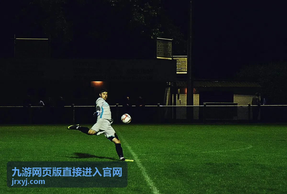 九游网页版入口指南安全核验示意图